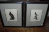 Four bird prints. Engraved by R. Havell