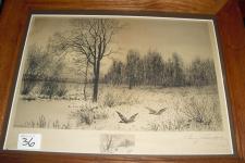 Bird Etching